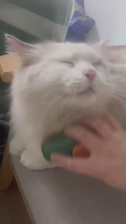 Steamy Pet Grooming Brush