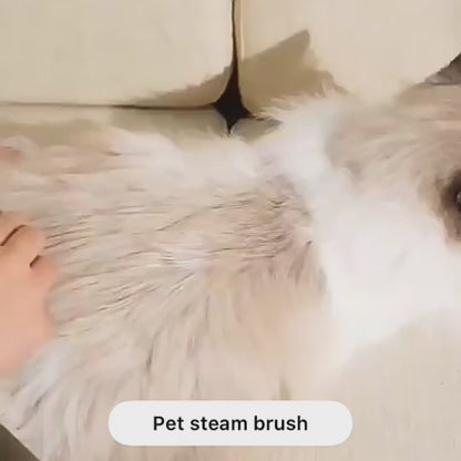 Steamy Pet Grooming Brush